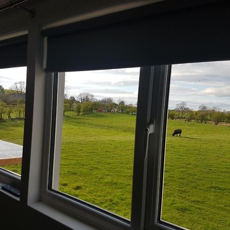 Brendan'S Apartment On Same Grounds As Family Home Armoy 외부 사진