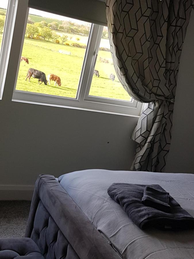 Brendan'S Apartment On Same Grounds As Family Home Armoy 외부 사진